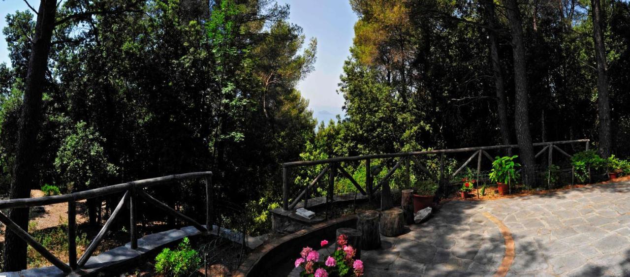 B&B Al Cavalluccio Marino Montemarcello Zewnętrze zdjęcie