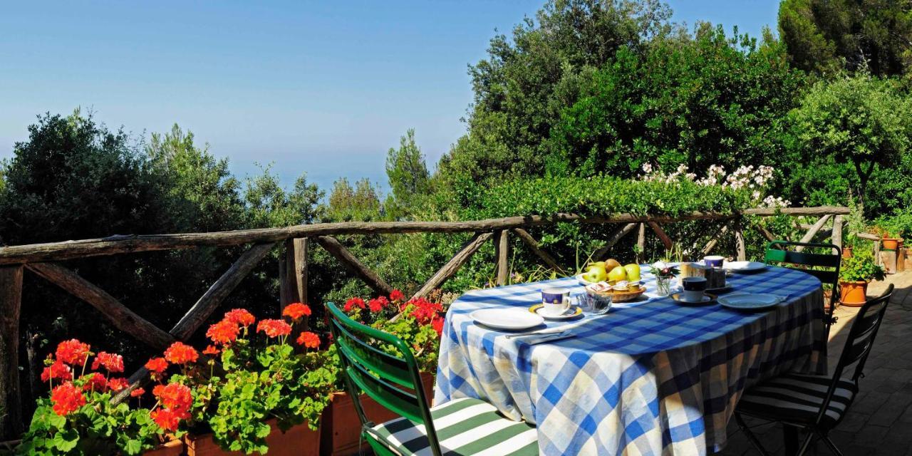 B&B Al Cavalluccio Marino Montemarcello Zewnętrze zdjęcie